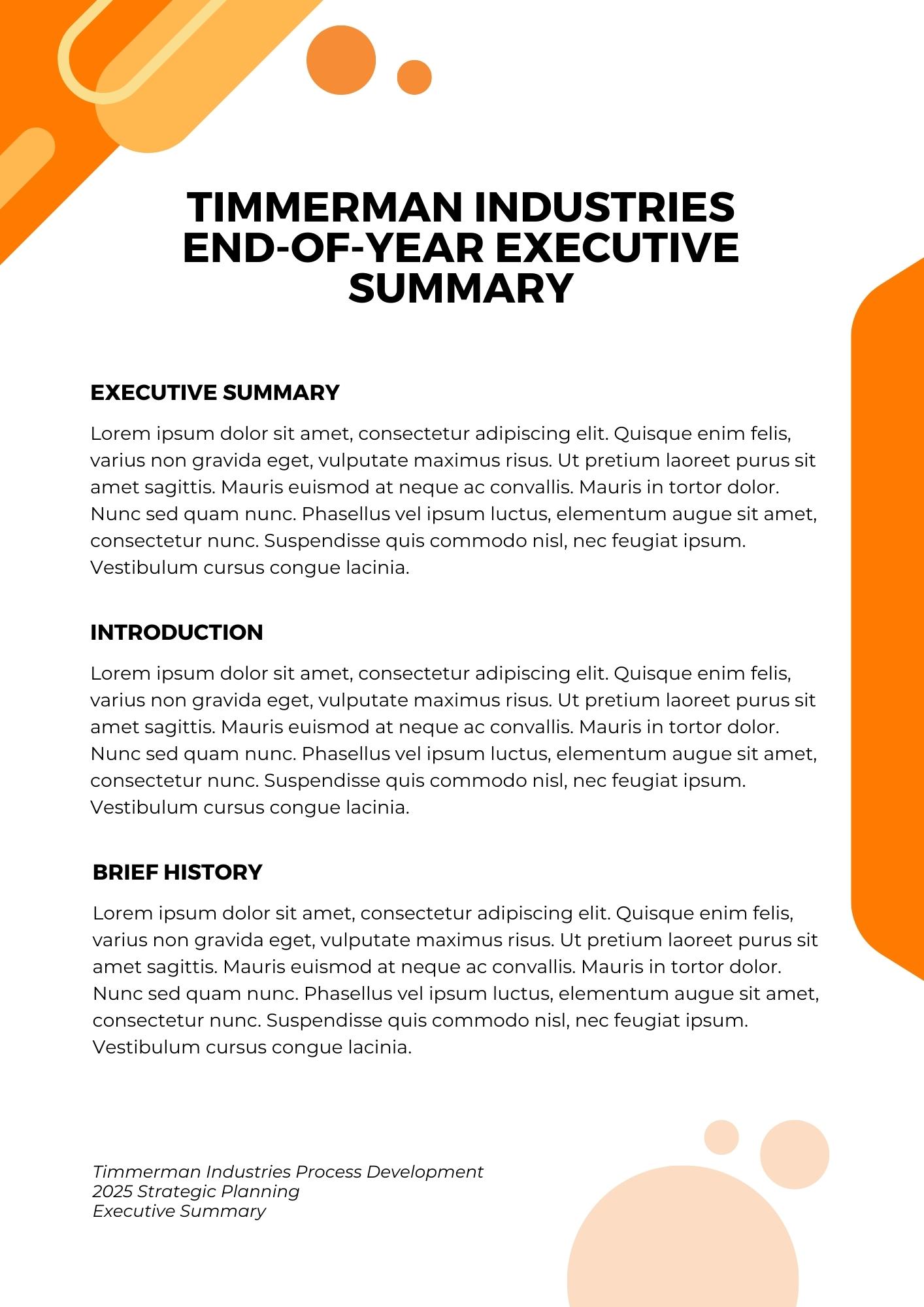 Mock executive summary.